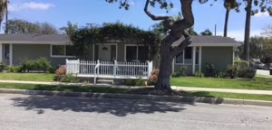 Beach Homes Iii