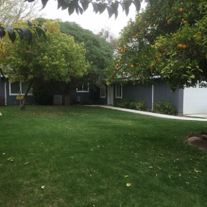 Elisabeth Care Home