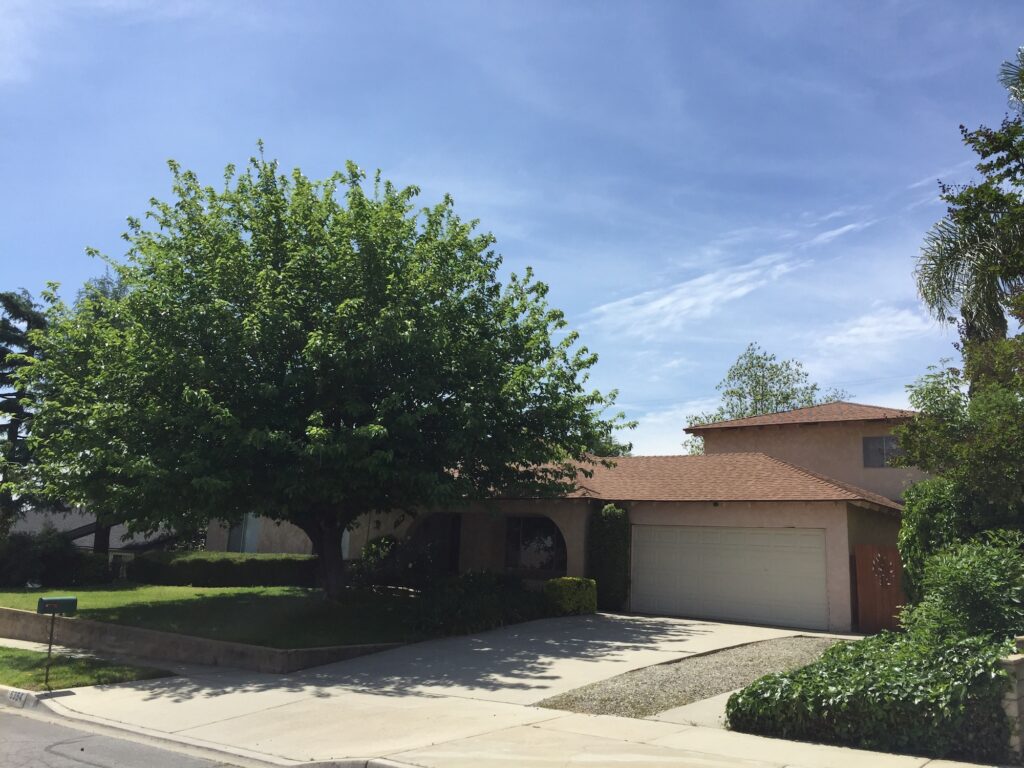 Genesis Manor