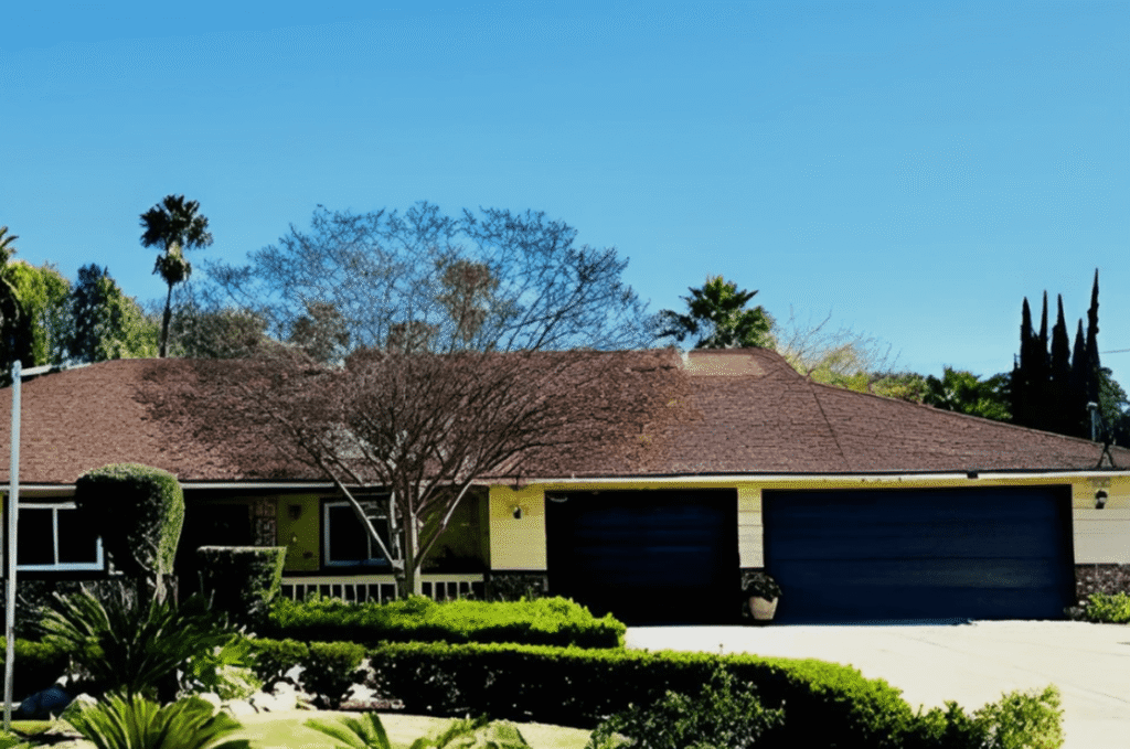 Jace Guest Home