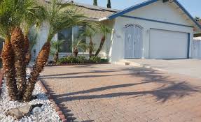Olive Tree Home