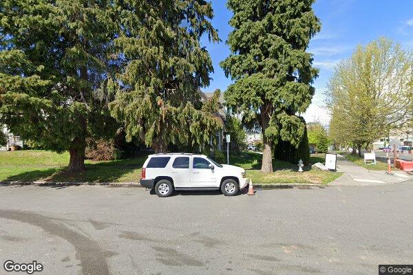 Three Cedars